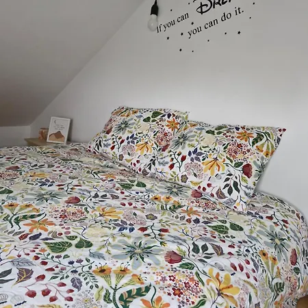 Lejlighed Apartma Nara *